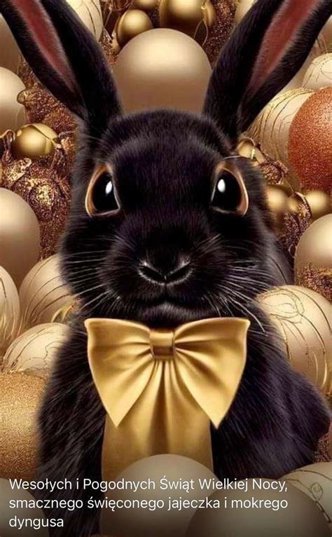 holiday hare - online puzzle