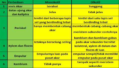 perbedaan struktur akar dikotil dan monokotil beserta gambarnya ...