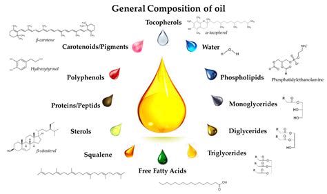 Don't Confuse OIL, LIPIDS, & FAT - A Brief on Oil / Lecithin / Fat – AVA Naturals