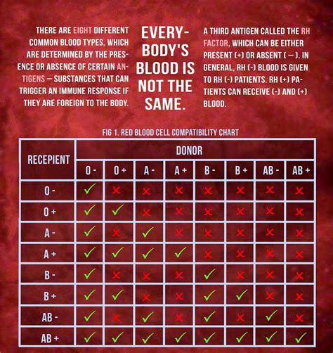 the perils of: blood donation infographics