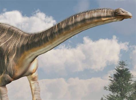 Apatosaurus vs Brontosaurus: Is There a Difference? - A-Z Animals