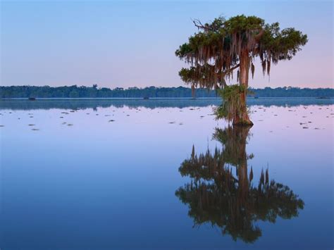 Experience a tour of Louisiana's swamps | Deep South travel inspiration