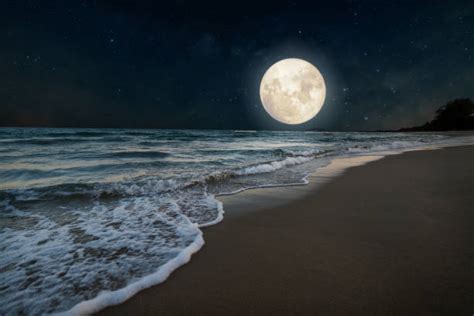 Moonlight Night Beach