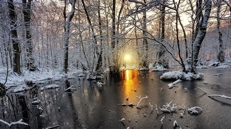 nature, Landscape, Cold, Winter, Sunrise, Snow, Forest, Frost, Sunlight, White, Yellow, Trees ...