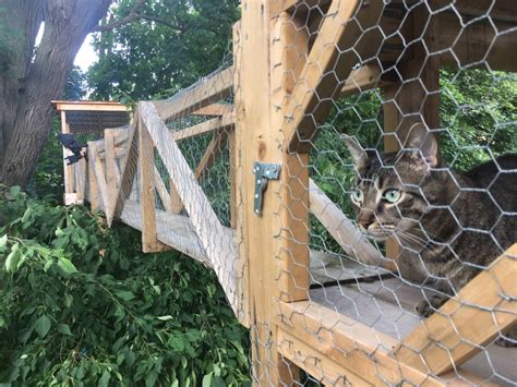 Pet Lover Builds Sprawling Outdoor Cat Tree House in his Backyard