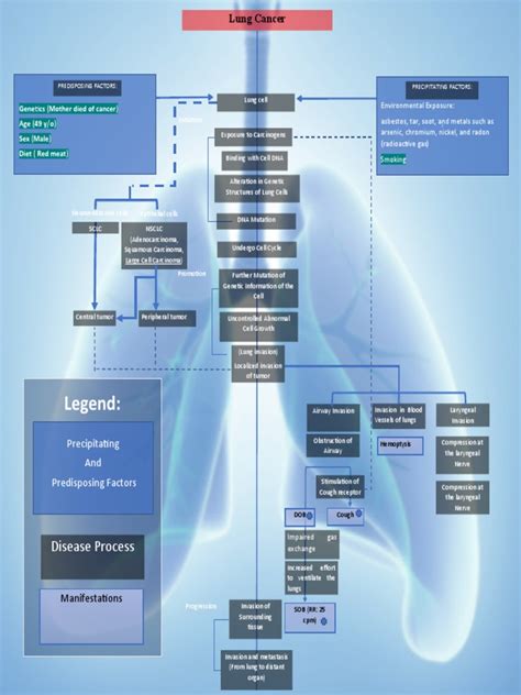 Lung-Cancer 3 | PDF | Lung Cancer | Cancer