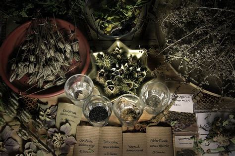 magic herb recipes | Witchcraft - Pagan, Wiccan, Occult and M­­agic