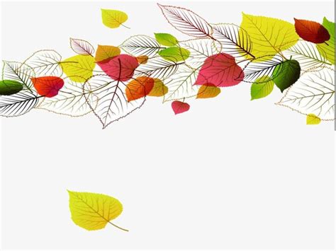 Autumn Leaves Ppt Templates, Fall, Leaf, Ppt Templates PNG Image and Clipart for Free Download