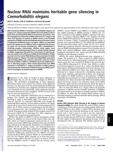 (PDF) Nuclear RNAi maintains heritable gene silencing in