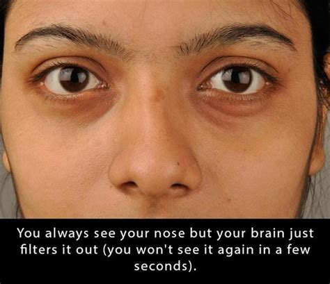 21 Strange But True Facts That'll Blow Your Mind | Team Jimmy Joe