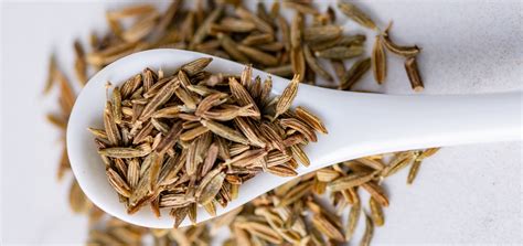 Cumin Seeds: Uses, Health Benefits, Recipes & More — Savory Spice