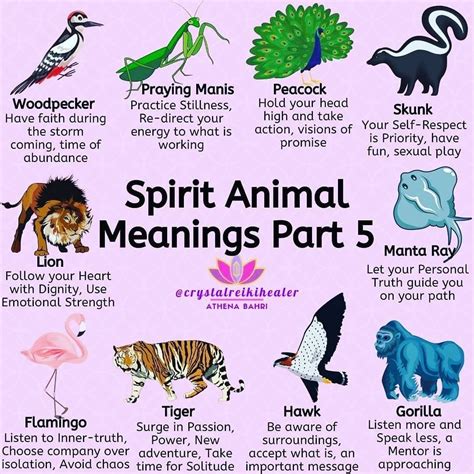 PSYCHIC ANIMALS MEANING | Animal meanings, Spirit animal meaning, Animal spirit guides