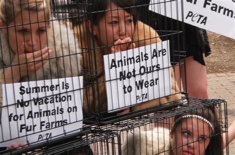 Fur Farm Cruelty | Foreign Students News