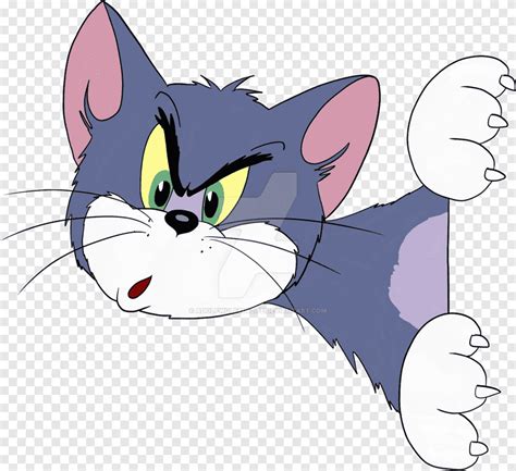 Free download | Tom Cat Tom and Jerry, Cat, mammal, animals png | PNGEgg