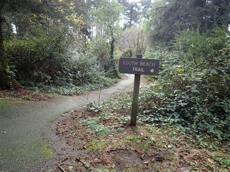 Harris Beach State Park Campground - Brookings, Oregon