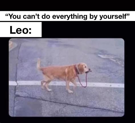 Zodiac Memes: Leo's Roaring With Cosmic Confidence