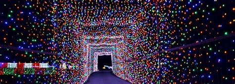 The Lights at Night are Big and Bright at Christmas Light Fest - TLM