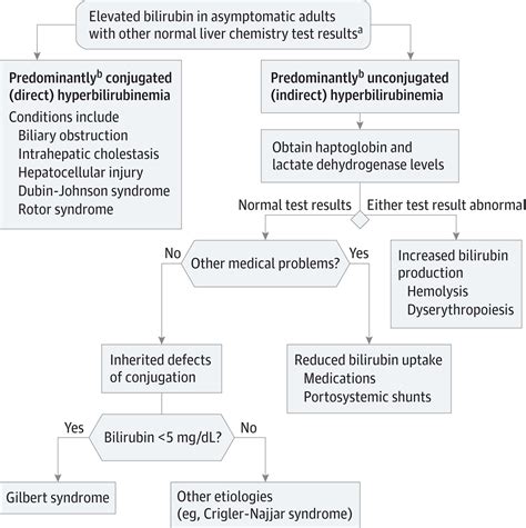 Normal Bilirubin Levels In Adults