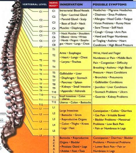 10 Things Most People Don’t Know About Chiropractic | Charts, Pain d'epices and Chang'e 3