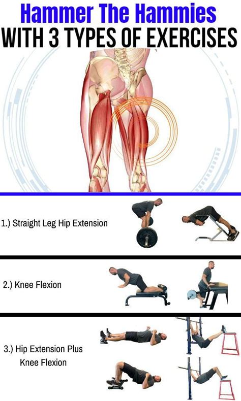 Your lower half contains some of the body’s biggest muscles including your glutes, hamstrings ...