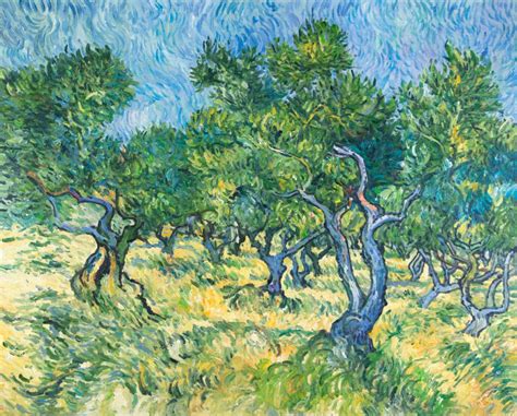 Why did Van Gogh not dare to paint the olive tree? | Van Gogh Studio