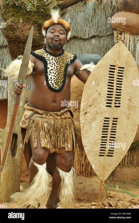 People, adult man, ethnic, Zulu warrior, traditional ceremonial dress, shield and spear, war ...