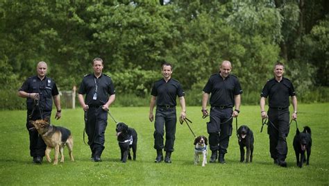 Dogs With Jobs: General Purpose Police Dogs - Julius K9 UK Blog