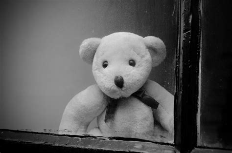 Teddy Bear Behind A Window Free Stock Photo - Public Domain Pictures