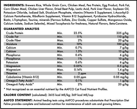 Cat and Kitten Nutrition 101 | Small Door Veterinary