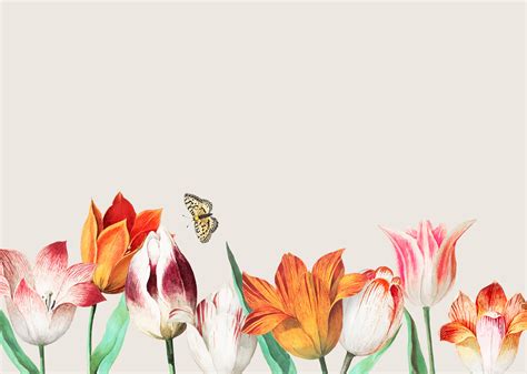 Tulip field border - Download Free Vectors, Clipart Graphics & Vector Art