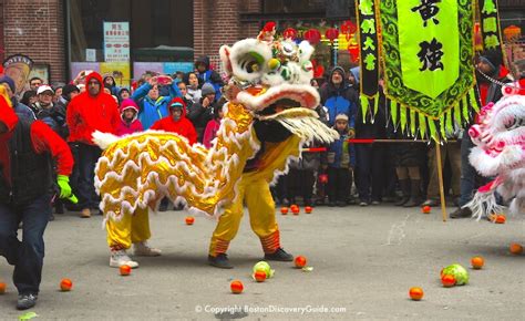 Boston Chinese New Year Parade 2024 - Chinatown Event - Boston ...