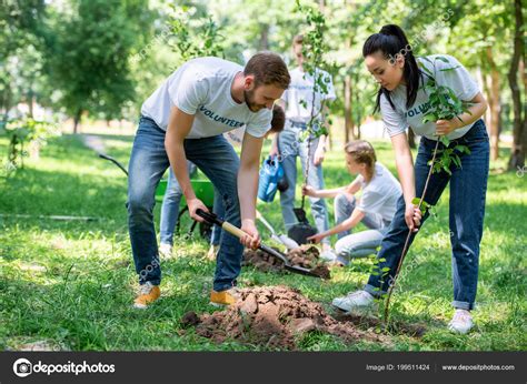 Volunteers Planting Trees Green Park Together — Stock Photo ...