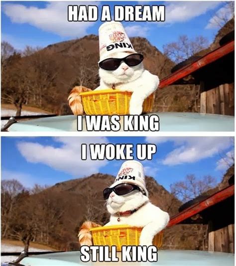 Had a dream i was king, i woke up still king | Best of funny memes