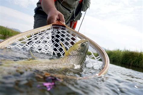 4 Different Types of Fishing Nets