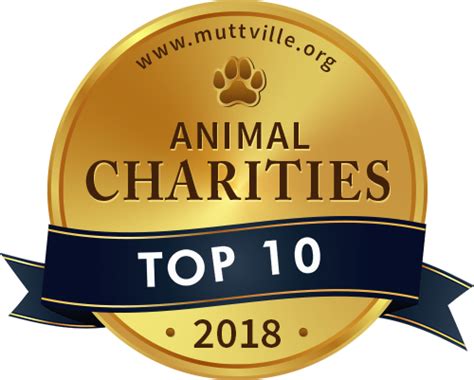 10 Best Animal Charities of 2019 | Top Dog Tips Awards Program