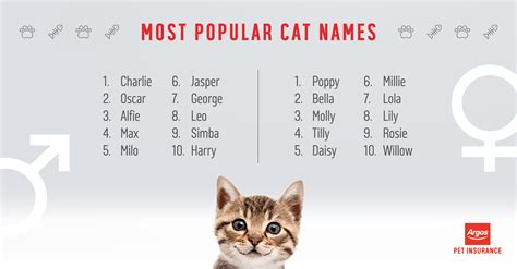 What Are Some Cool Female Cat Names