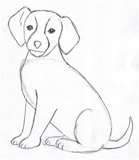 Dog Face Cartoon Drawing at GetDrawings | Free download