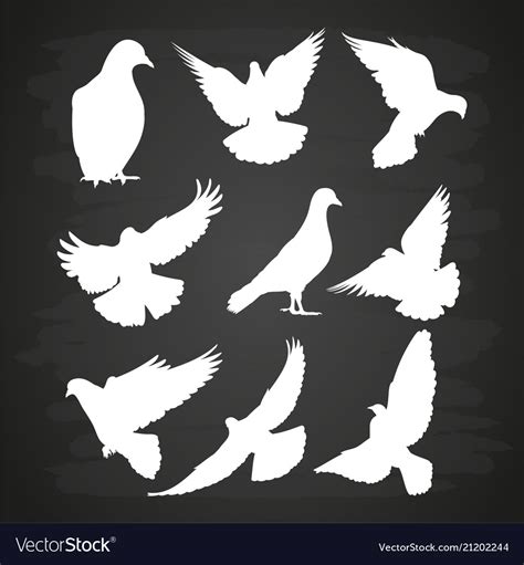 White dove silhouette set on blackboard Royalty Free Vector