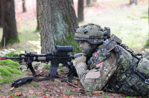 Danish relocate, connect and get busy at Combined Resolve III | Article ...