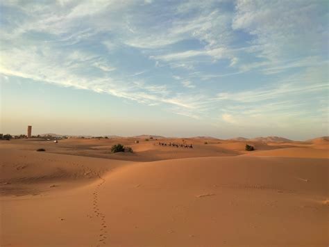 People Riding Camels at the Desert · Free Stock Photo