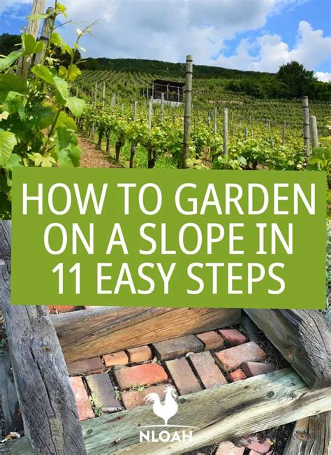 How to Garden on a Slope in 11 Easy Steps • New Life On A Homestead