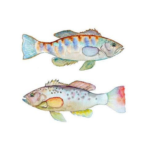 Watercolor Fish Print. Colorful Fish Wall Art. by SnoogsAndWilde, $34. ...