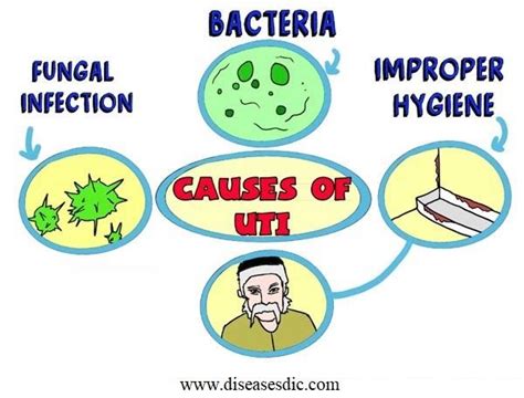 Urinary Tract Infection – Causes, Diagnosis and Prevention. - in 2020 ...