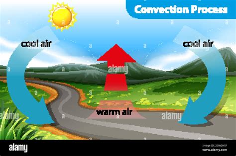 Diagram showing convection process Stock Vector Image & Art - Alamy