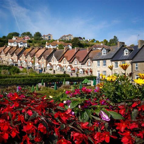 Looking across to the fishermans cottages in Beer, Devon with the flowers in full bloom. Taken ...