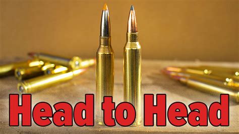 Head to Head: 7mm Rem. Mag. vs. .300 Win. Mag. | An Official Journal Of ...