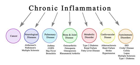 How to Detect Silent Inflammation, an Early Warning of Un-Diagnosed Diseases - GrassrootsHealth