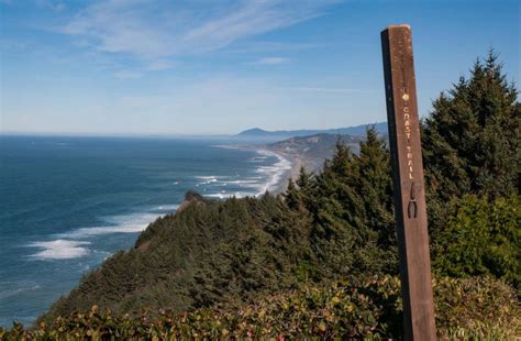 37 of The Best Oregon Hikes You've Got to Check Out