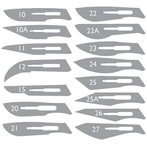 Scalpel Blades | Biology Supplies - Darwin Biological