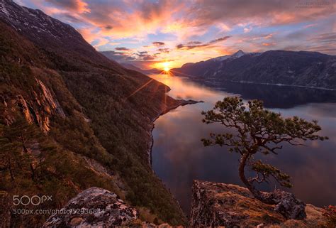 Interesting Photo of the Day: Lone Pine Tree on Cliff in Norway